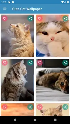 Cute Cat Wallpaper android App screenshot 9