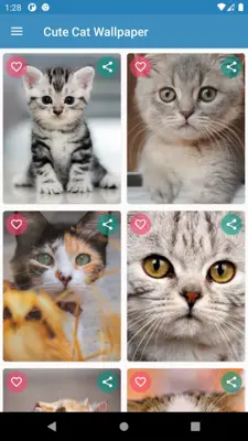 Cute Cat Wallpaper android App screenshot 10