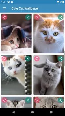 Cute Cat Wallpaper android App screenshot 11