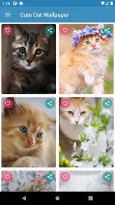 Cute Cat Wallpaper android App screenshot 12