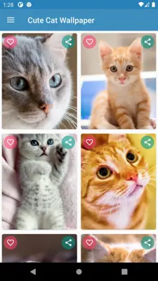 Cute Cat Wallpaper android App screenshot 13