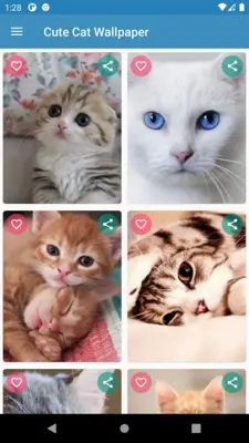 Cute Cat Wallpaper android App screenshot 14