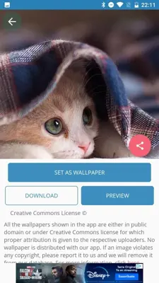 Cute Cat Wallpaper android App screenshot 2