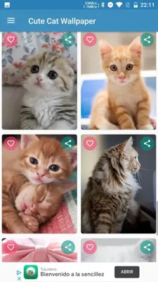 Cute Cat Wallpaper android App screenshot 4