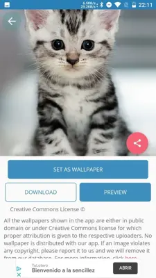 Cute Cat Wallpaper android App screenshot 5