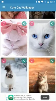 Cute Cat Wallpaper android App screenshot 6