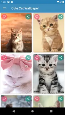 Cute Cat Wallpaper android App screenshot 8